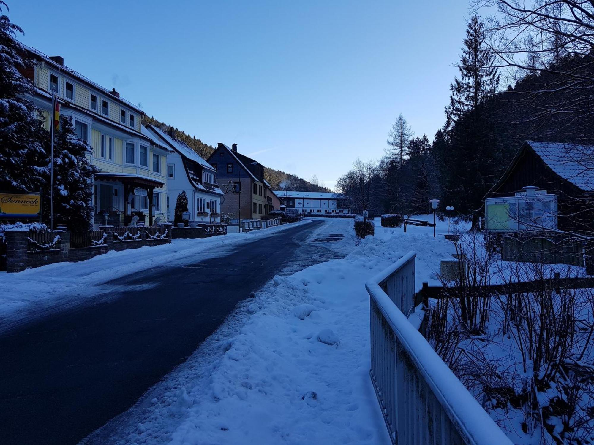 Adorable Aparment In Wildemann With Parking公寓 外观 照片