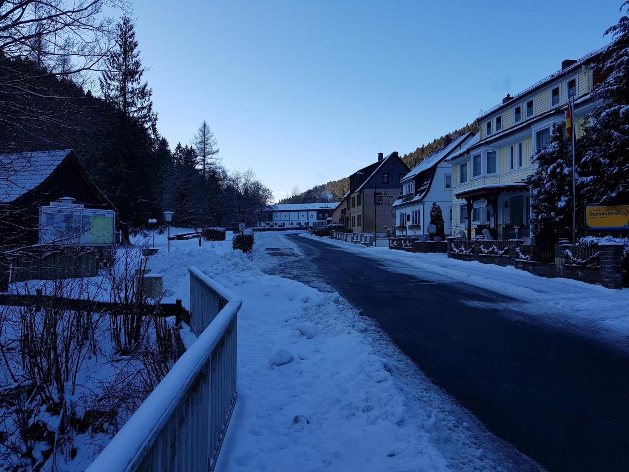 Adorable Aparment In Wildemann With Parking公寓 外观 照片